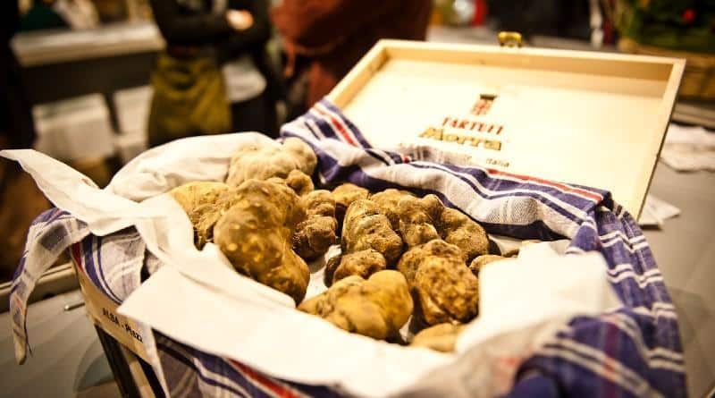 Fiera del Tartufo Bianco